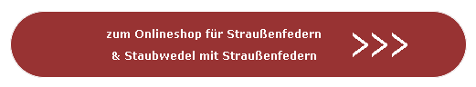 zum Onlineshop fr Strauenfedern & Staubwedel mit Strauenfedern