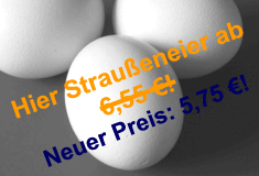 Strau�enei Strau�eneier